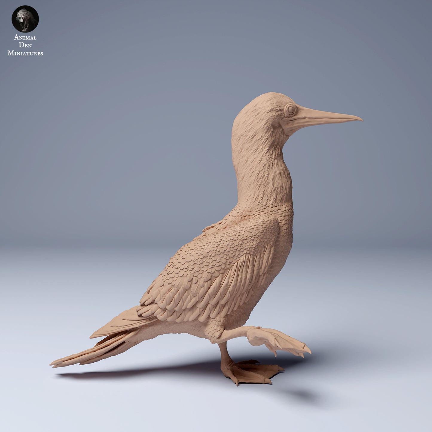 Produktfoto Tier Figur Diorama, Modellbau: 0: Meerestier Figur: Blaufußtölpel – Blue Footed Booby (Ref 24_08_06)