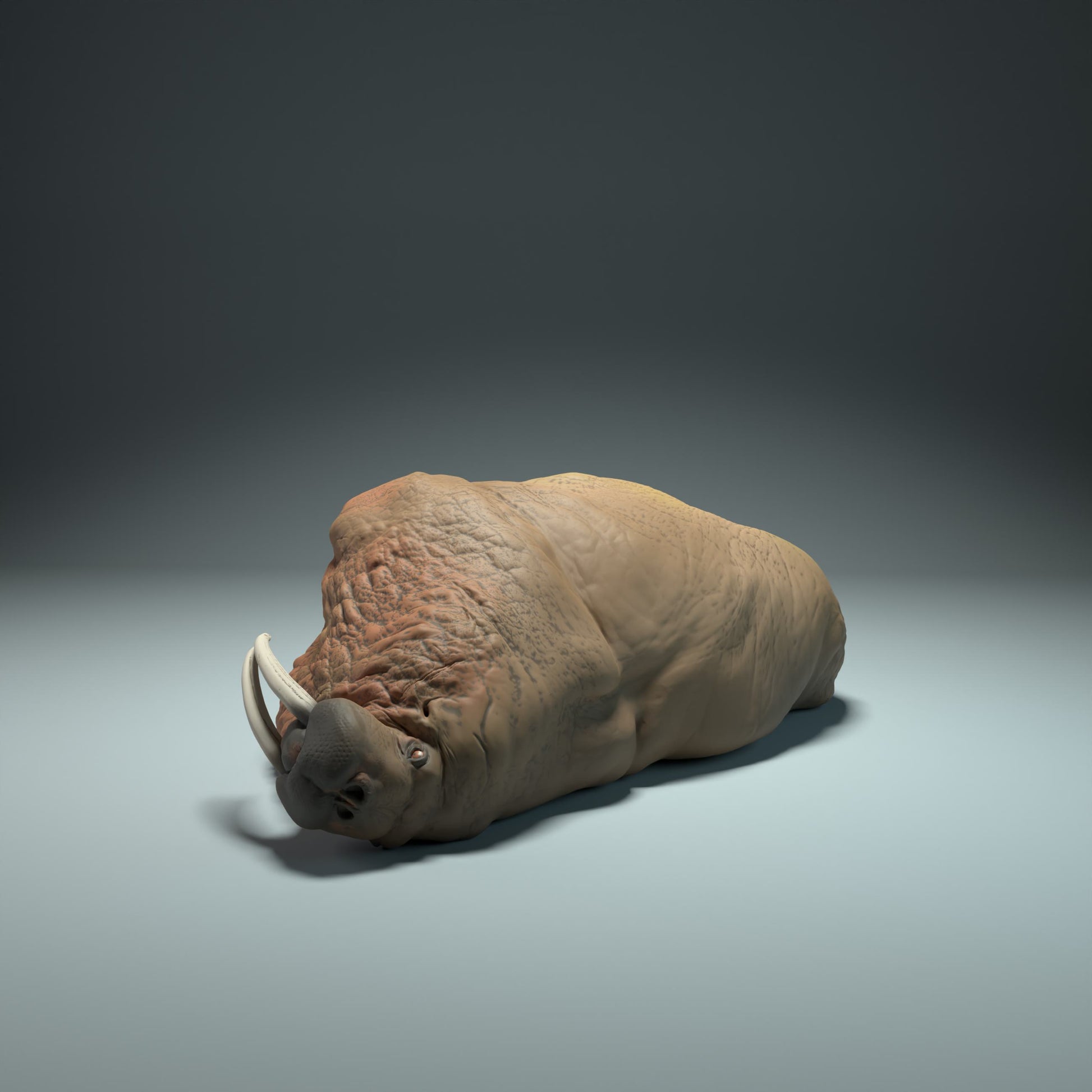 Product photo Animal Figure Diorama, Model Building: 0: Sea Creature Figure: Sleeping Walrus (Ref 01_01_49)