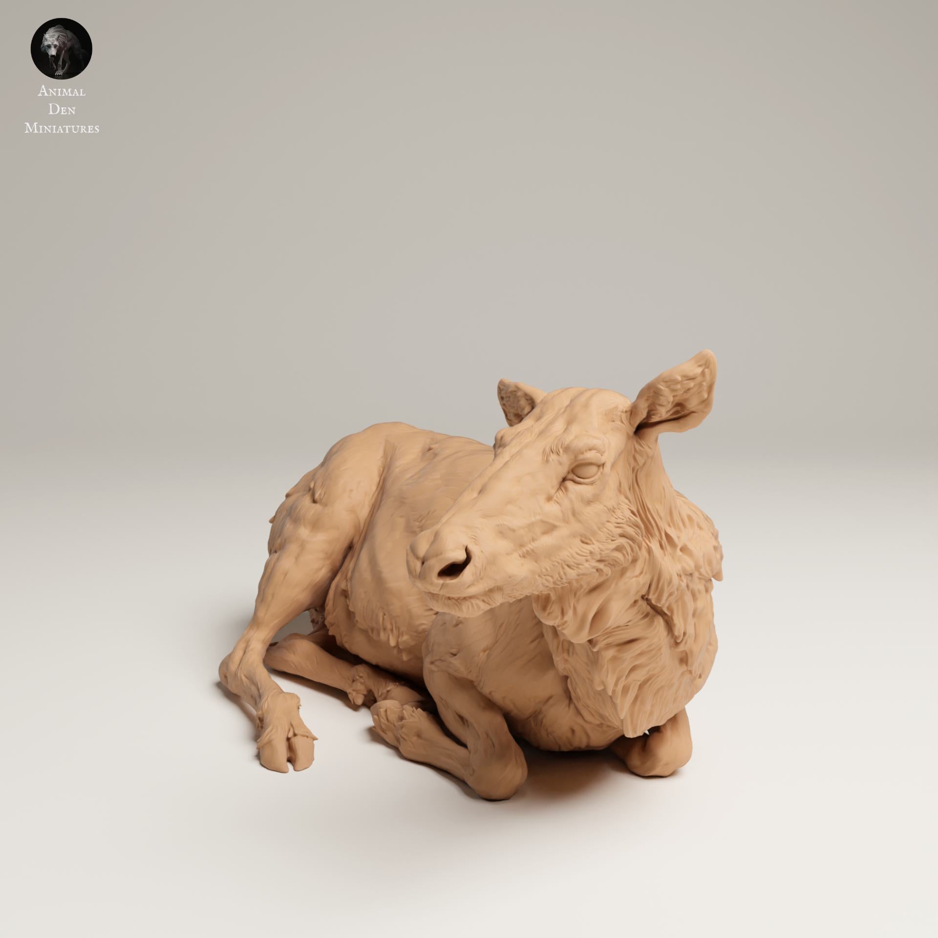 Product photo Animal Figure Diorama, Model Building: 0: Wildlife Figure: Lying Cow Moose – Rocky Mountain (Ref 25_06_14)