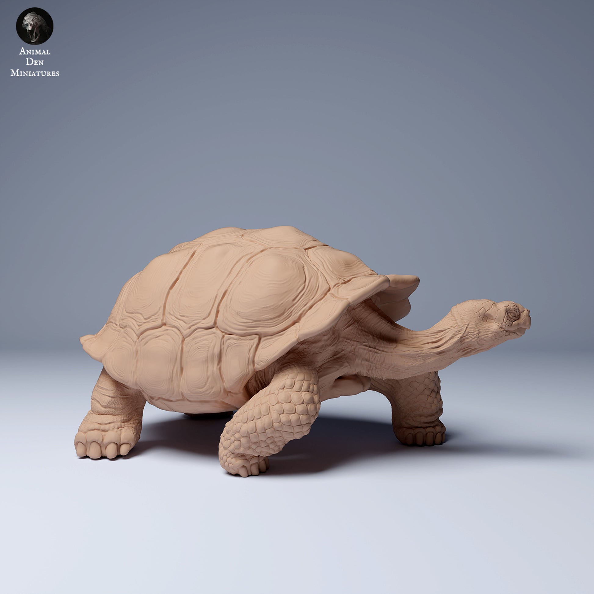 Product photo Animal Figure Diorama, Model Building: 0: Wildlife Figure: Galápagos Giant Tortoise (Ref 24_08_05)