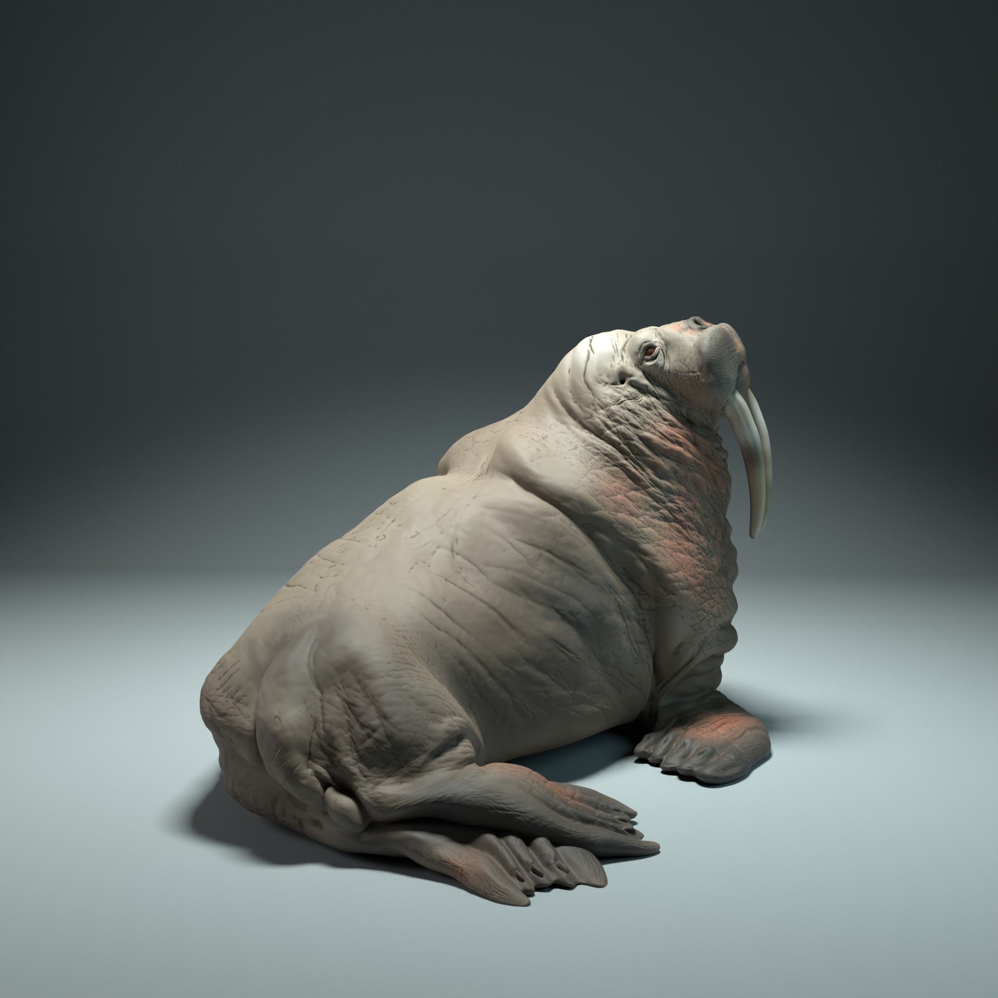 Product photo Animal Figure Diorama, Model Building: 0: Sea Creature Figure: Walrus – realistic miniature for dioramas and model building (Ref 01_01_31)