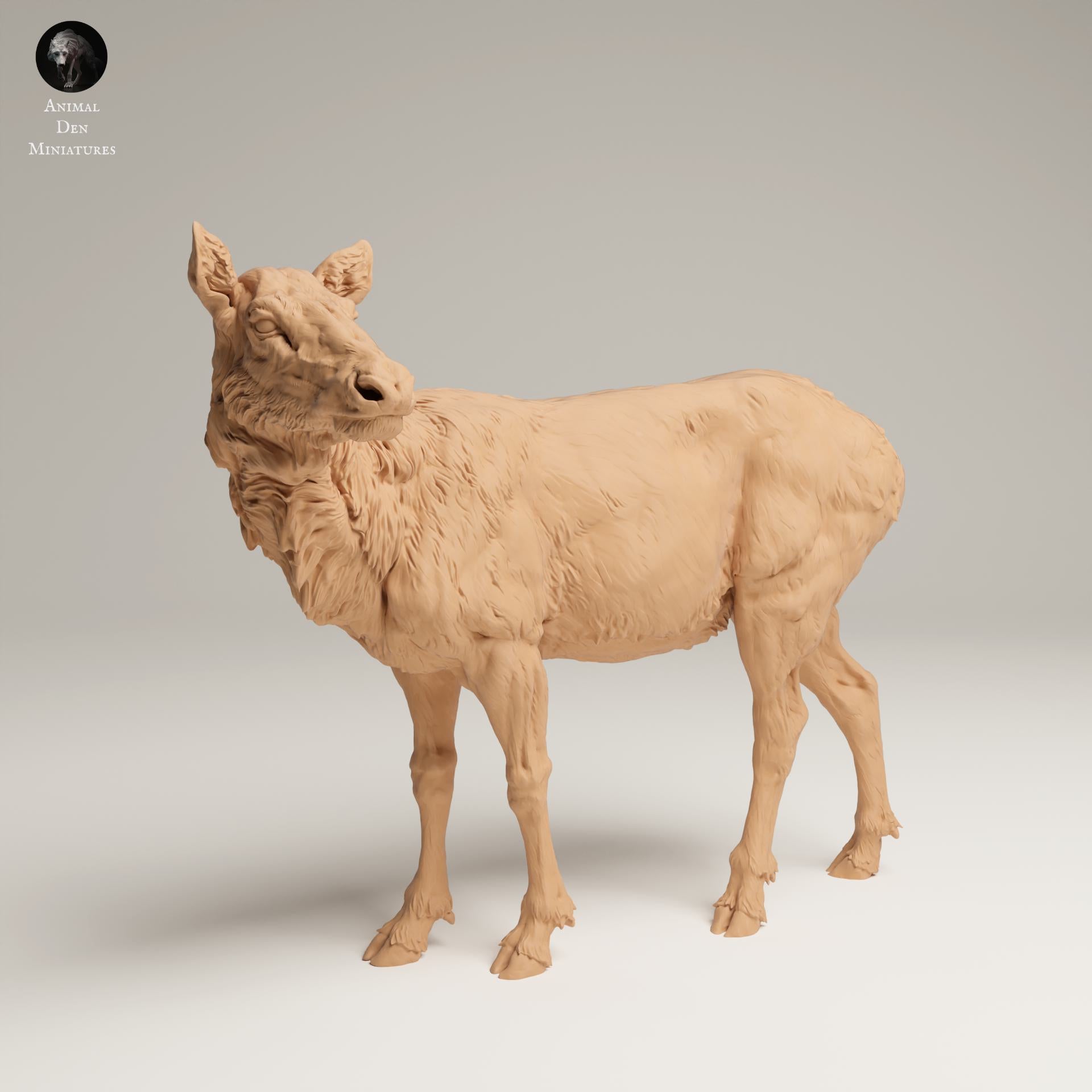 Product photo Animal Figure Diorama, Model Building: 0: Wild Animal Figure: Rocky Mountain Elk Cow (Ref 25_06_02)