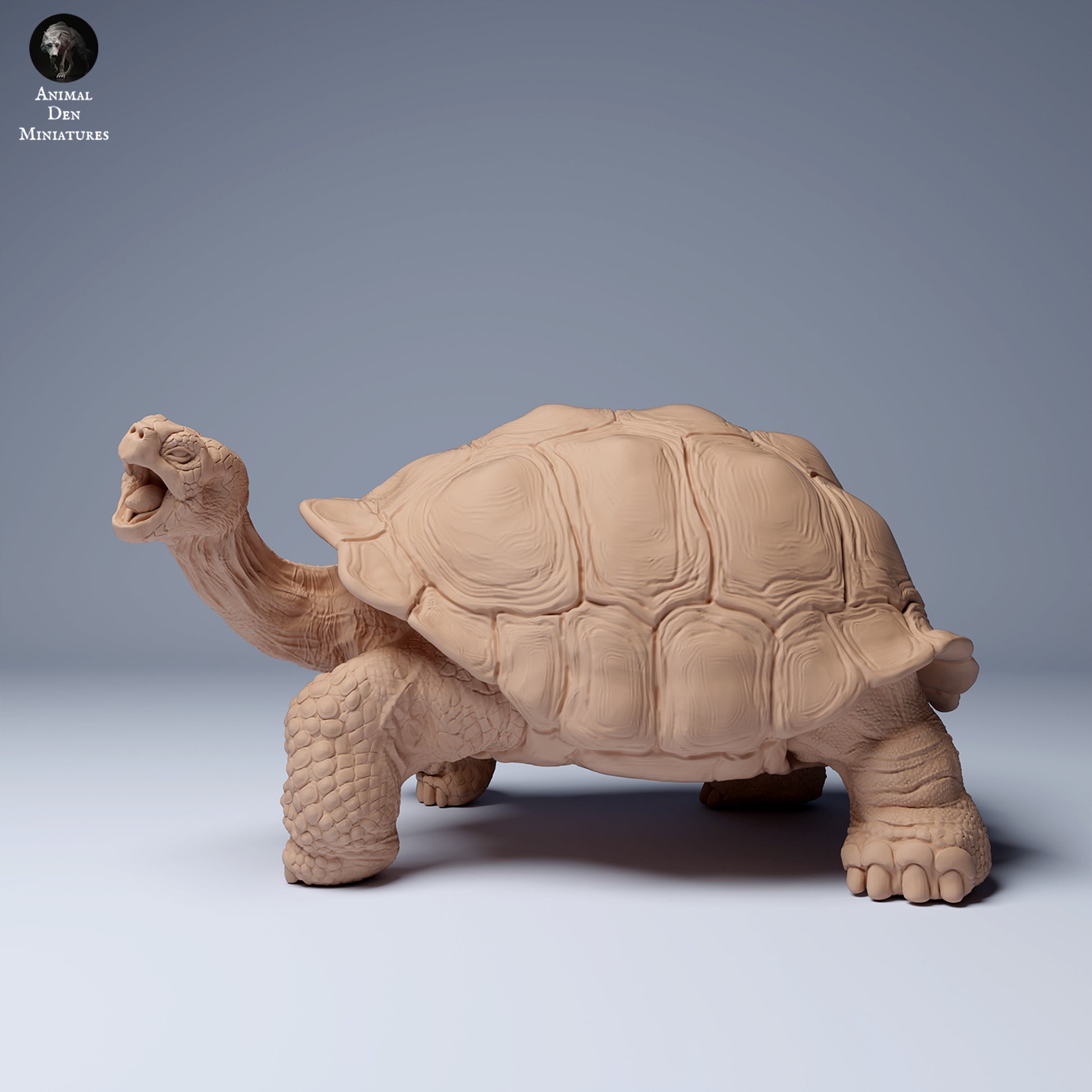 Product photo animal figure diorama, model building: 0: Jungle animal figure: feeding Galápagos giant tortoise (Ref 24_08_03)