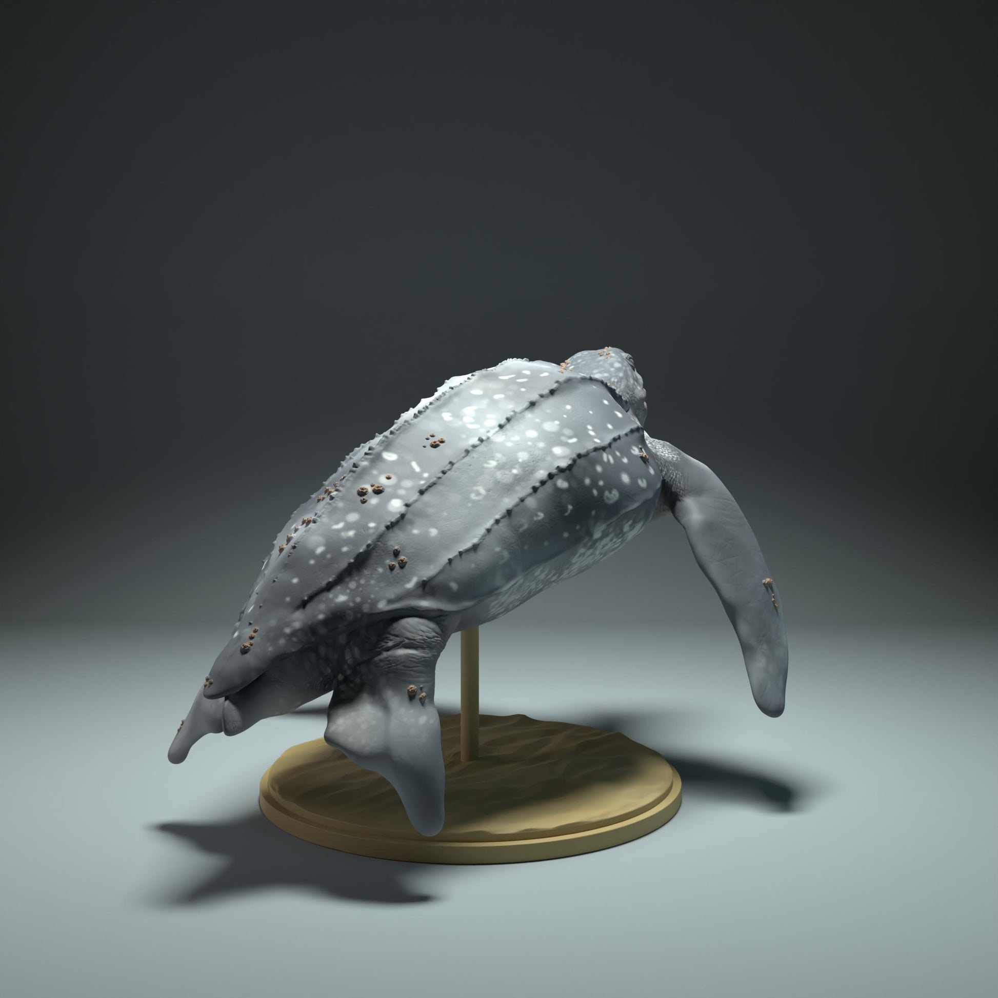 Product photo Animal Figure Diorama, Model Building: 0: Sea Creature Figure: Swimming Leatherback Turtle (Ref 01_01_32)