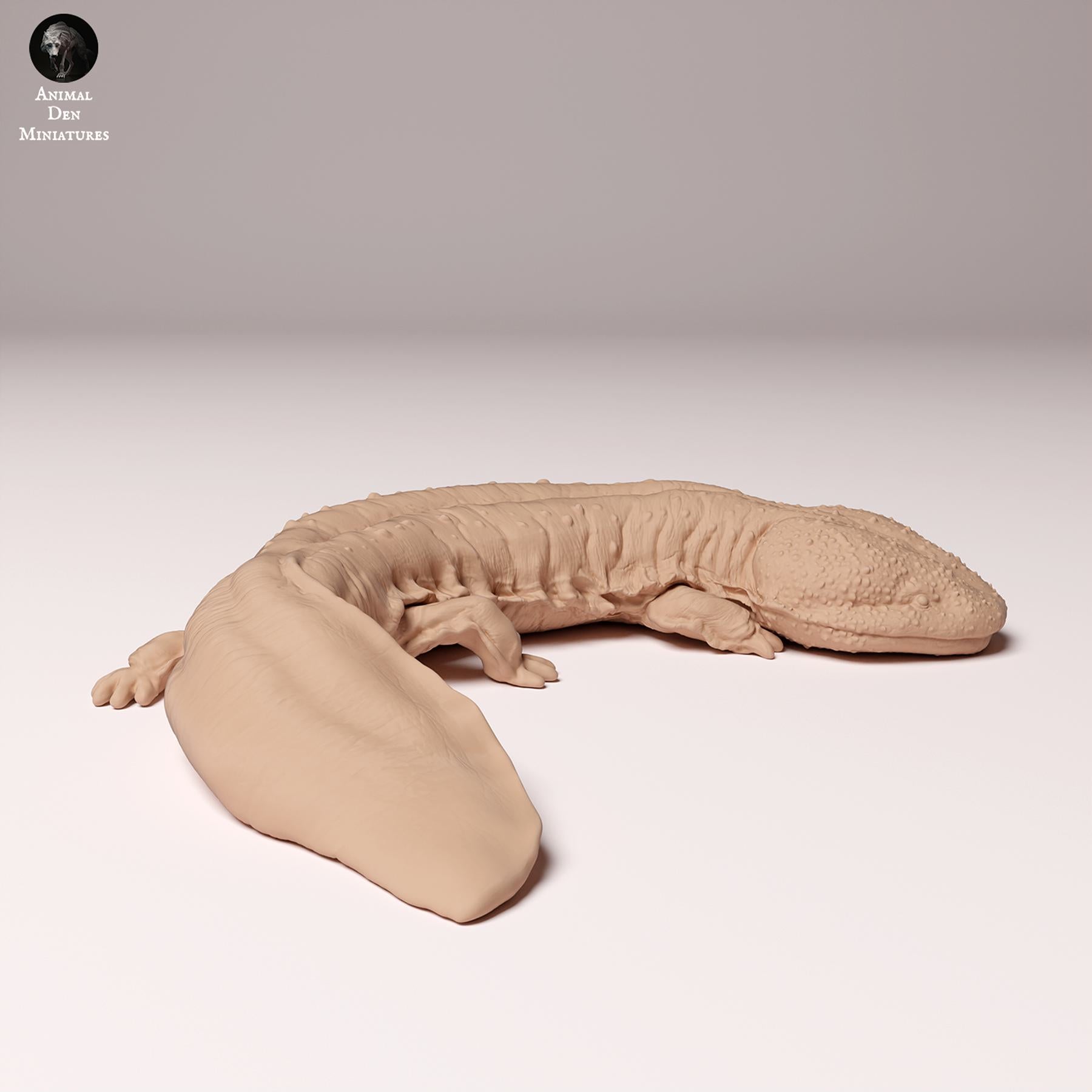 Product photo Animal Figure Diorama, Model Building: 0: Wildlife Figure: Japanese Giant Salamander (Ref 24_10_04)