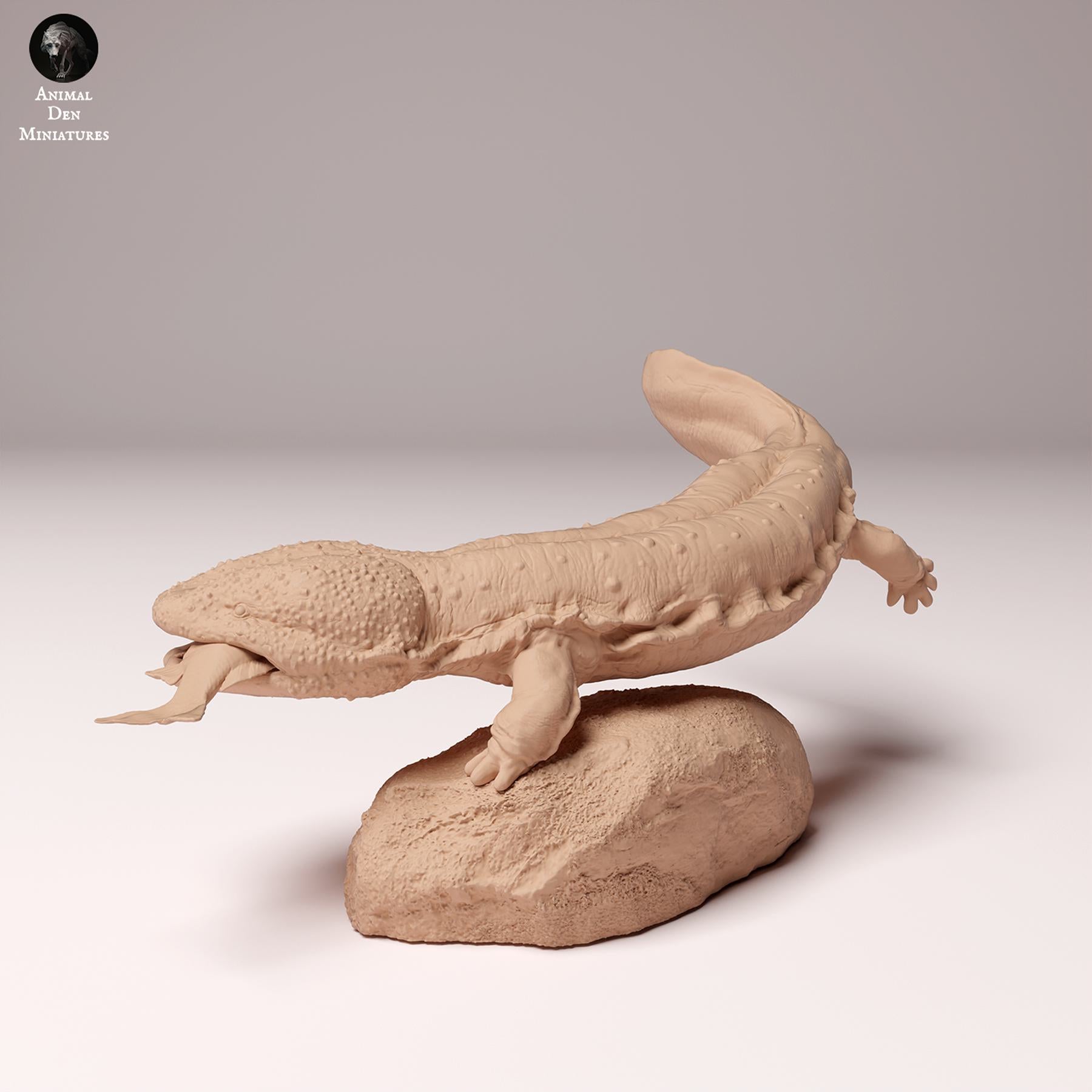 Product photo Animal Figure Diorama, Model Building: 0: Wildlife Figure: Japanese Giant Salamander with Fish (Ref 24_10_03)