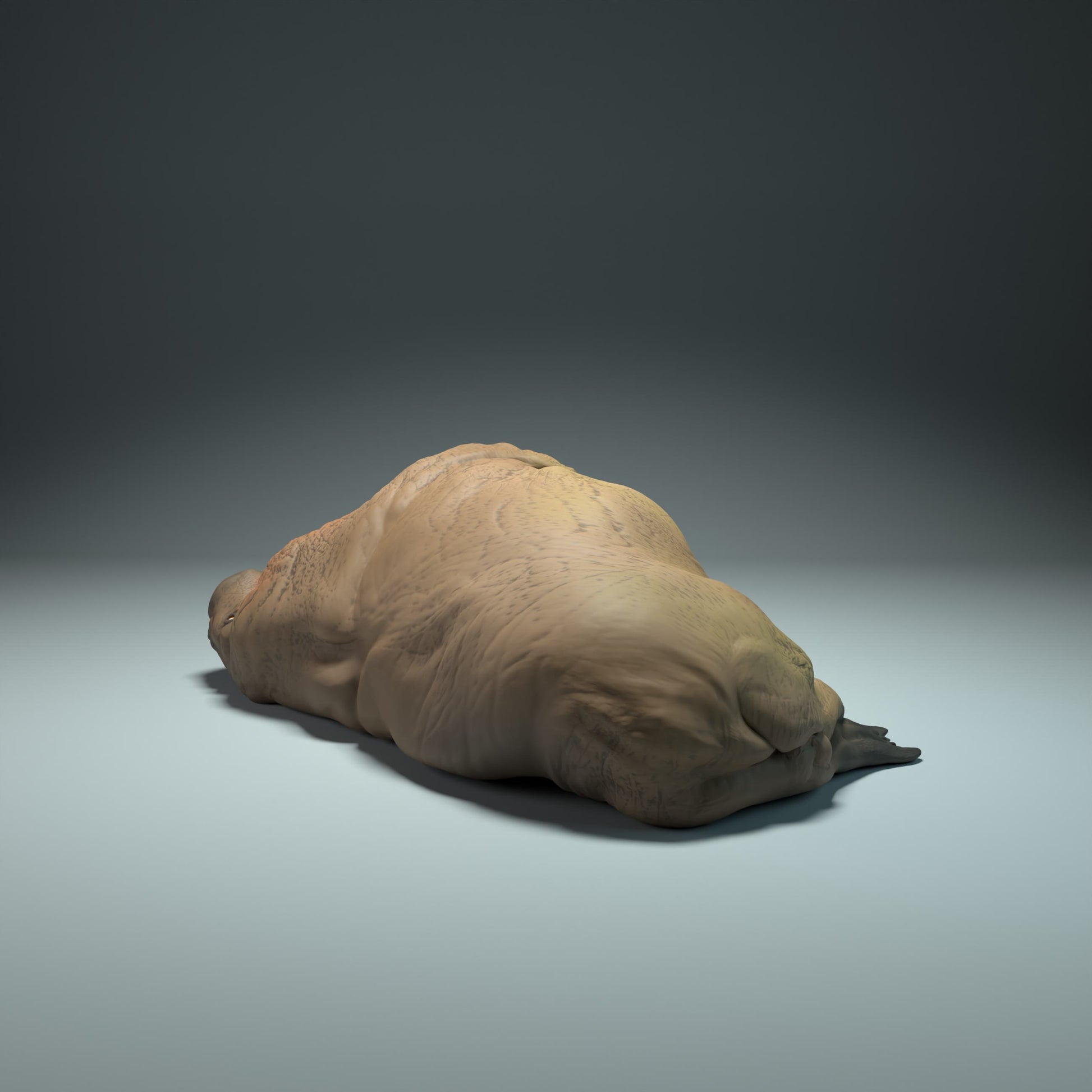 Product photo Animal Figure Diorama, Model Building: 0: Sea Creature Figure: Sleeping Walrus (Ref 01_01_49)