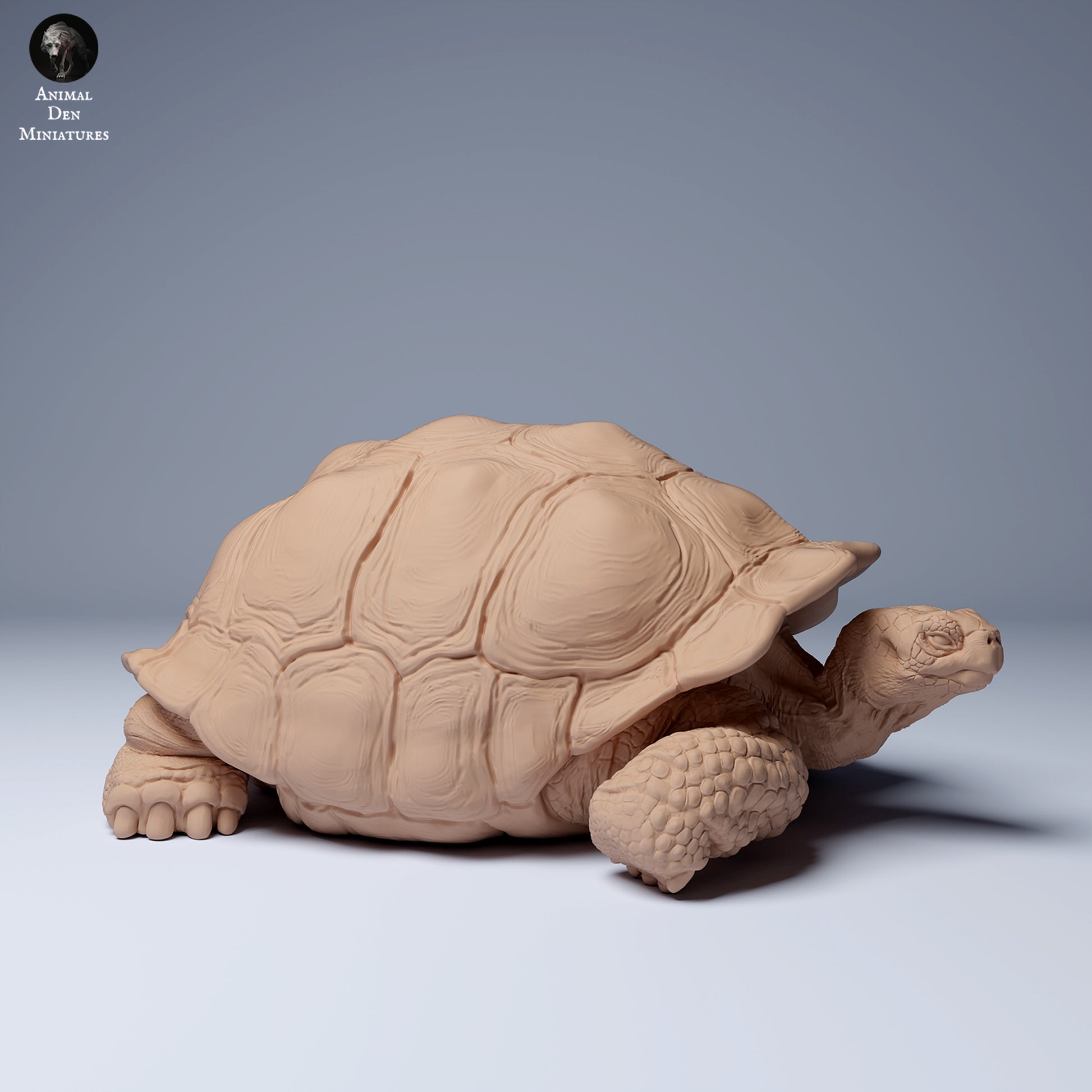 Product photo Animal Figure Diorama, Model Building: 0: Wild Animal Figure: Lying Galápagos Giant Tortoise (Ref 24_08_04)