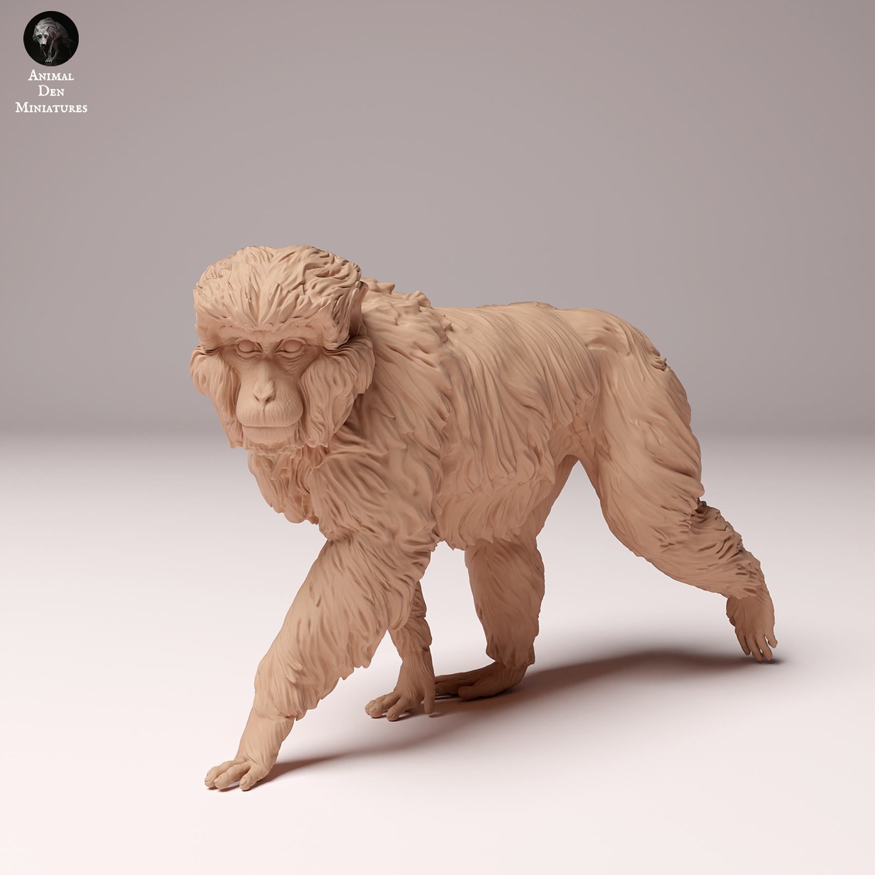 Product photo Animal Figure Diorama, Model Building: 0: Wildlife Figure: Japanese Macaque – Snow Monkey (Ref 24_10_09)