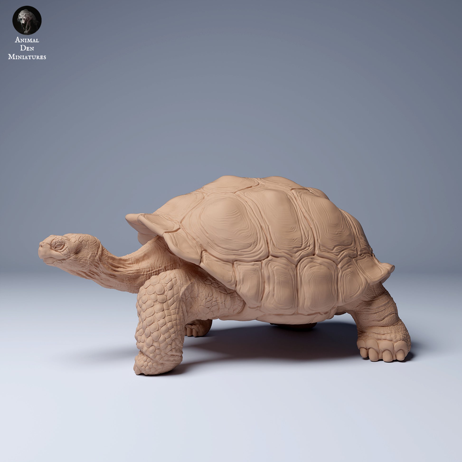 Product photo Animal Figure Diorama, Model Building: 0: Wildlife Figure: Galápagos Giant Tortoise (Ref 24_08_05)