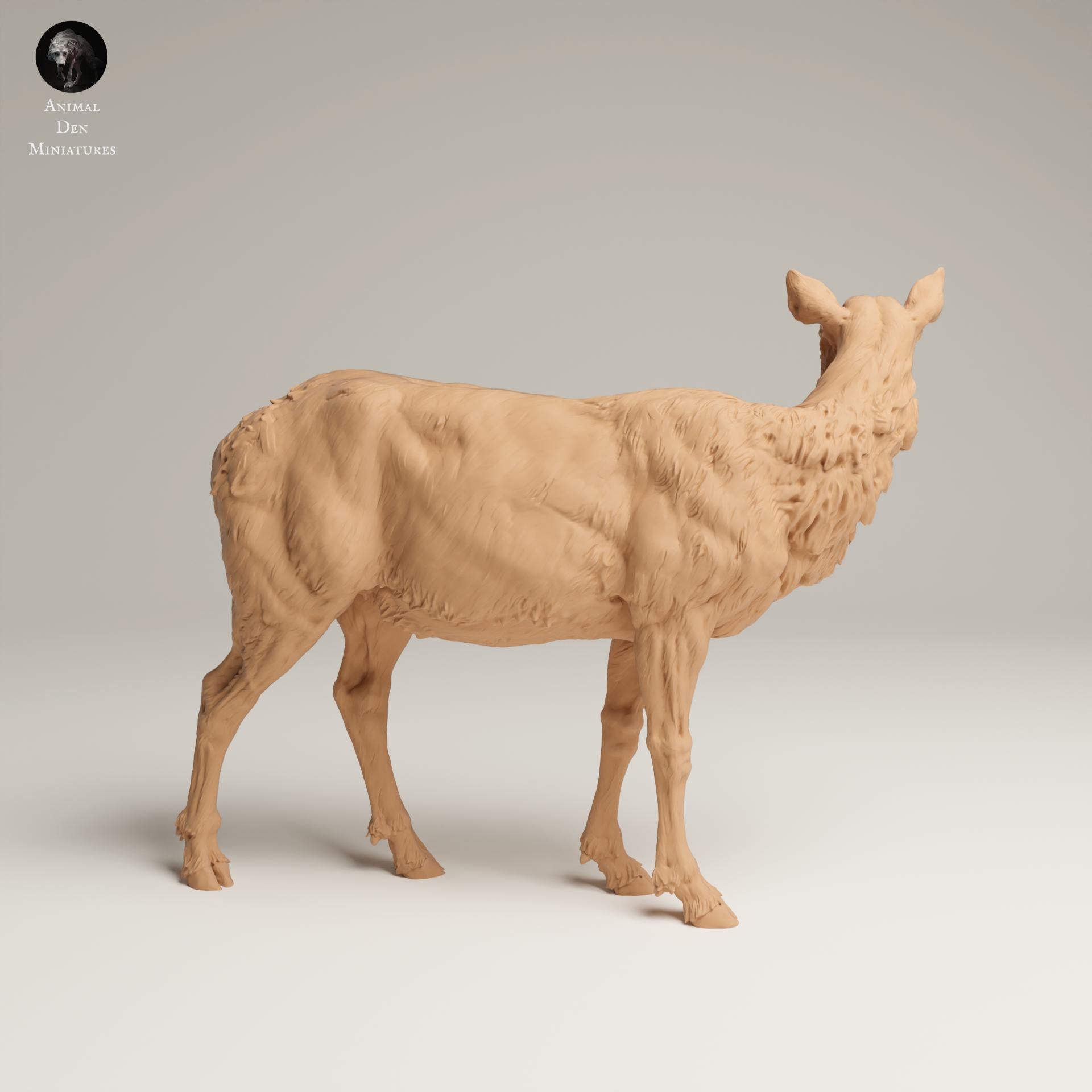 Product photo Animal Figure Diorama, Model Building: 0: Wild Animal Figure: Rocky Mountain Elk Cow (Ref 25_06_02)