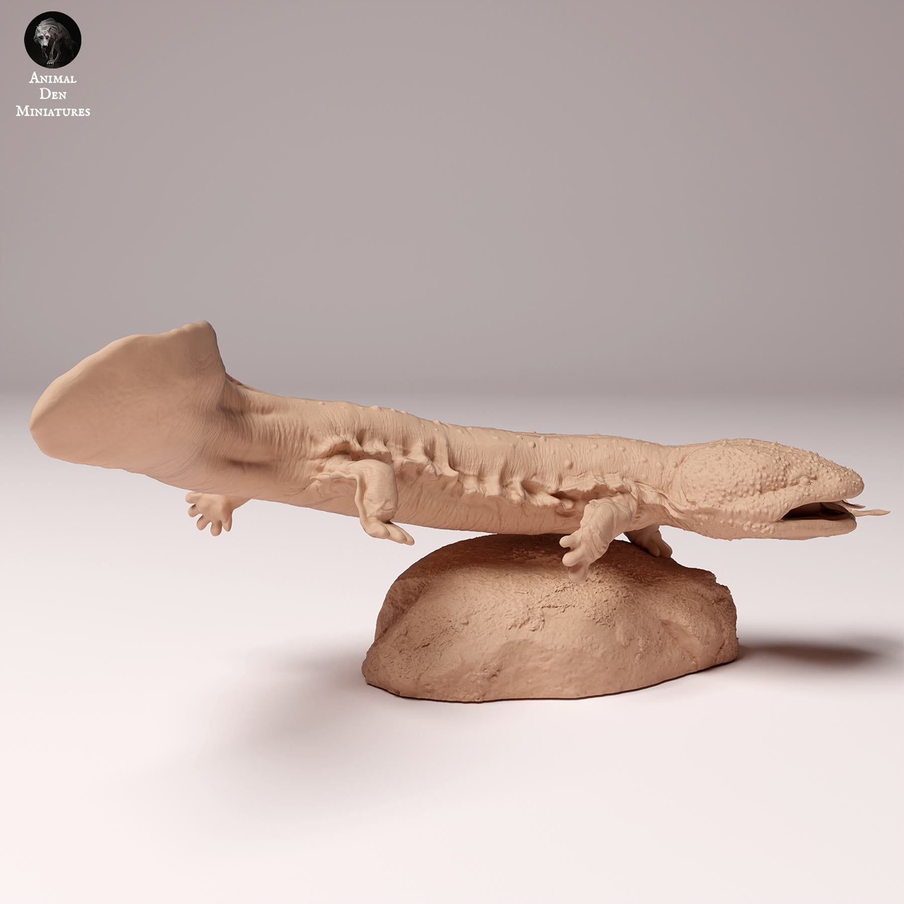 Product photo Animal Figure Diorama, Model Building: 0: Wildlife Figure: Japanese Giant Salamander with Fish (Ref 24_10_03)
