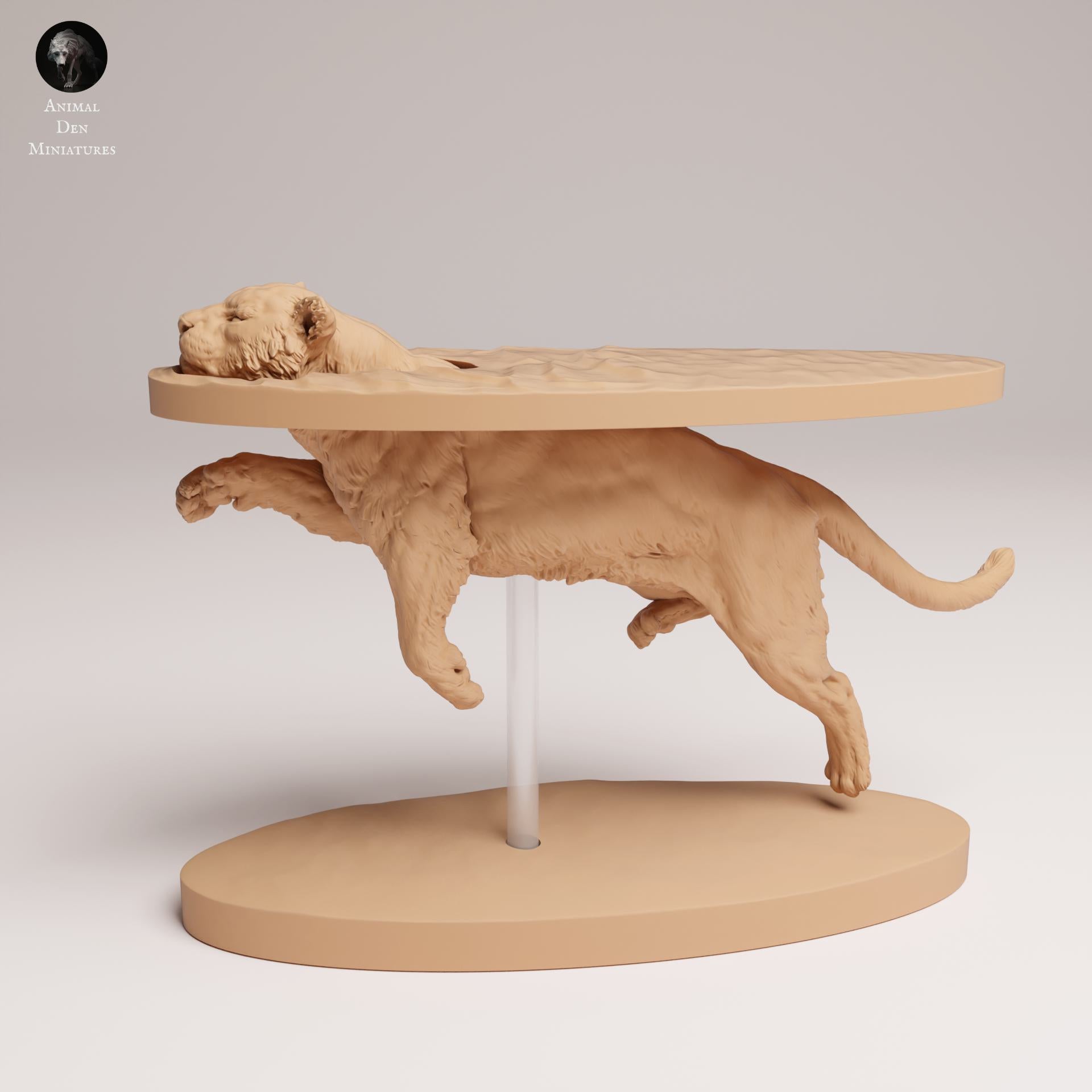 Product photo Animal Figure Diorama, Model Building: 0: Wildlife Figure: Swimming Sumatran Tiger (Ref 25_03_03)