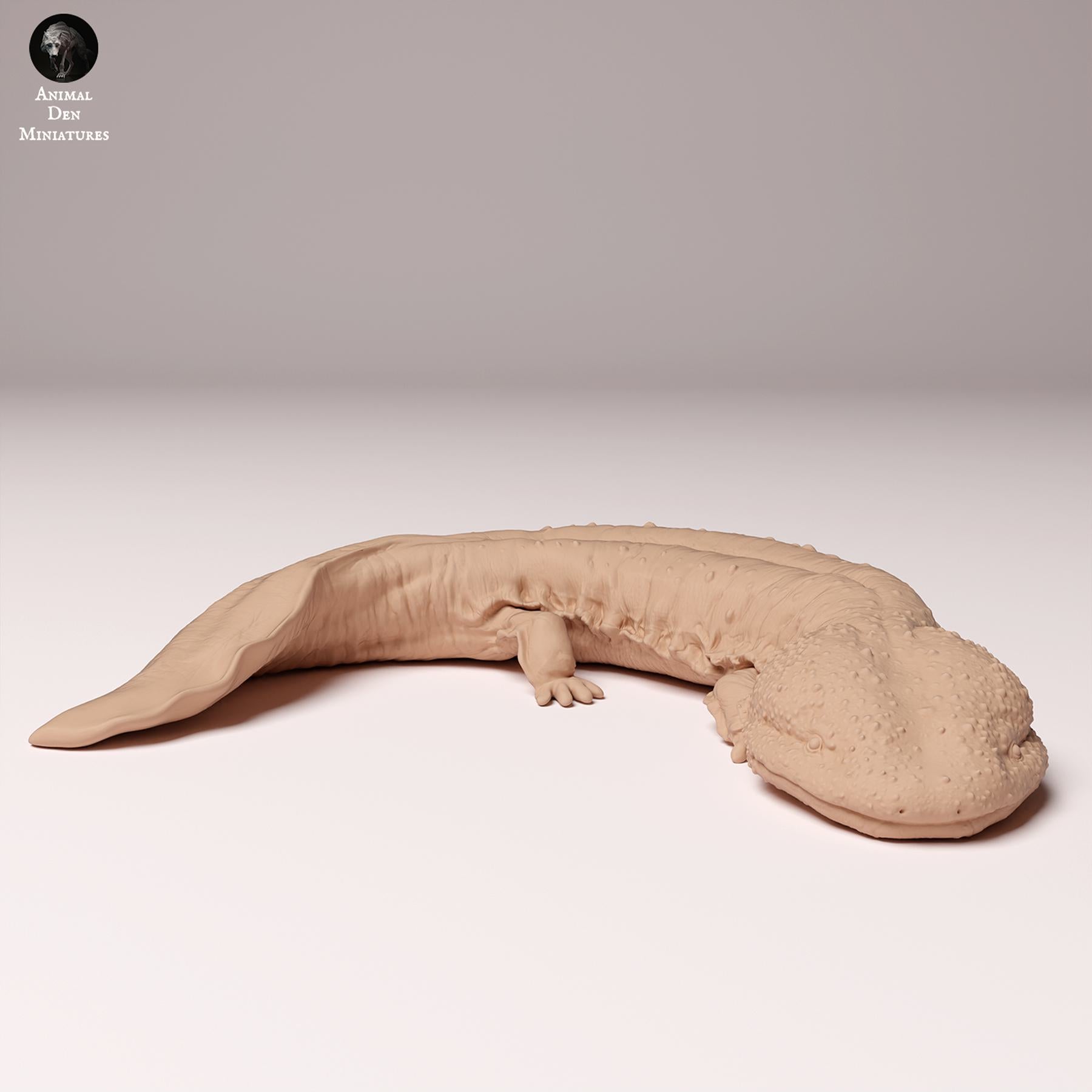 Product photo Animal Figure Diorama, Model Building: 0: Wildlife Figure: Japanese Giant Salamander (Ref 24_10_04)