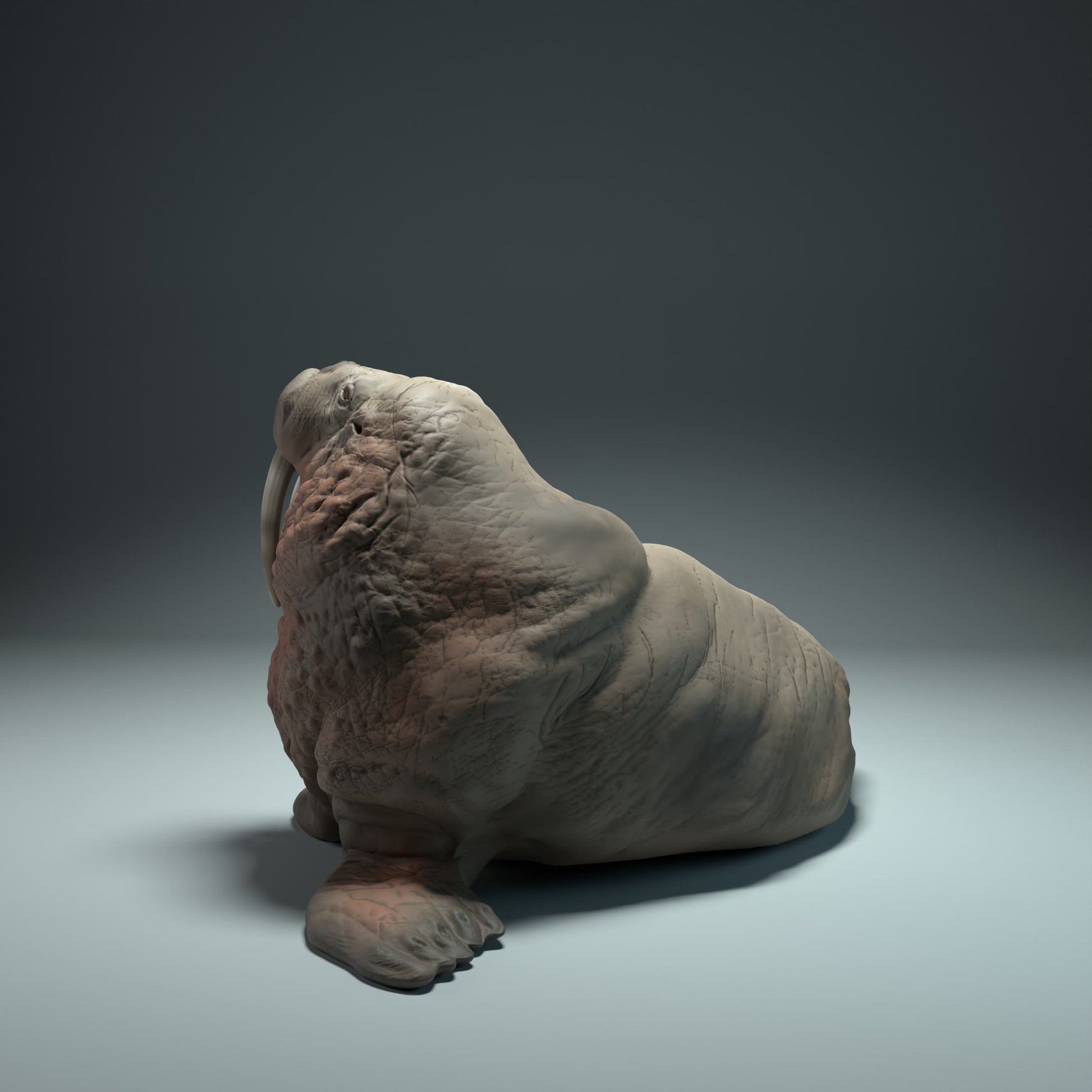 Product photo Animal Figure Diorama, Model Building: 0: Sea Creature Figure: Walrus – realistic miniature for dioramas and model building (Ref 01_01_31)