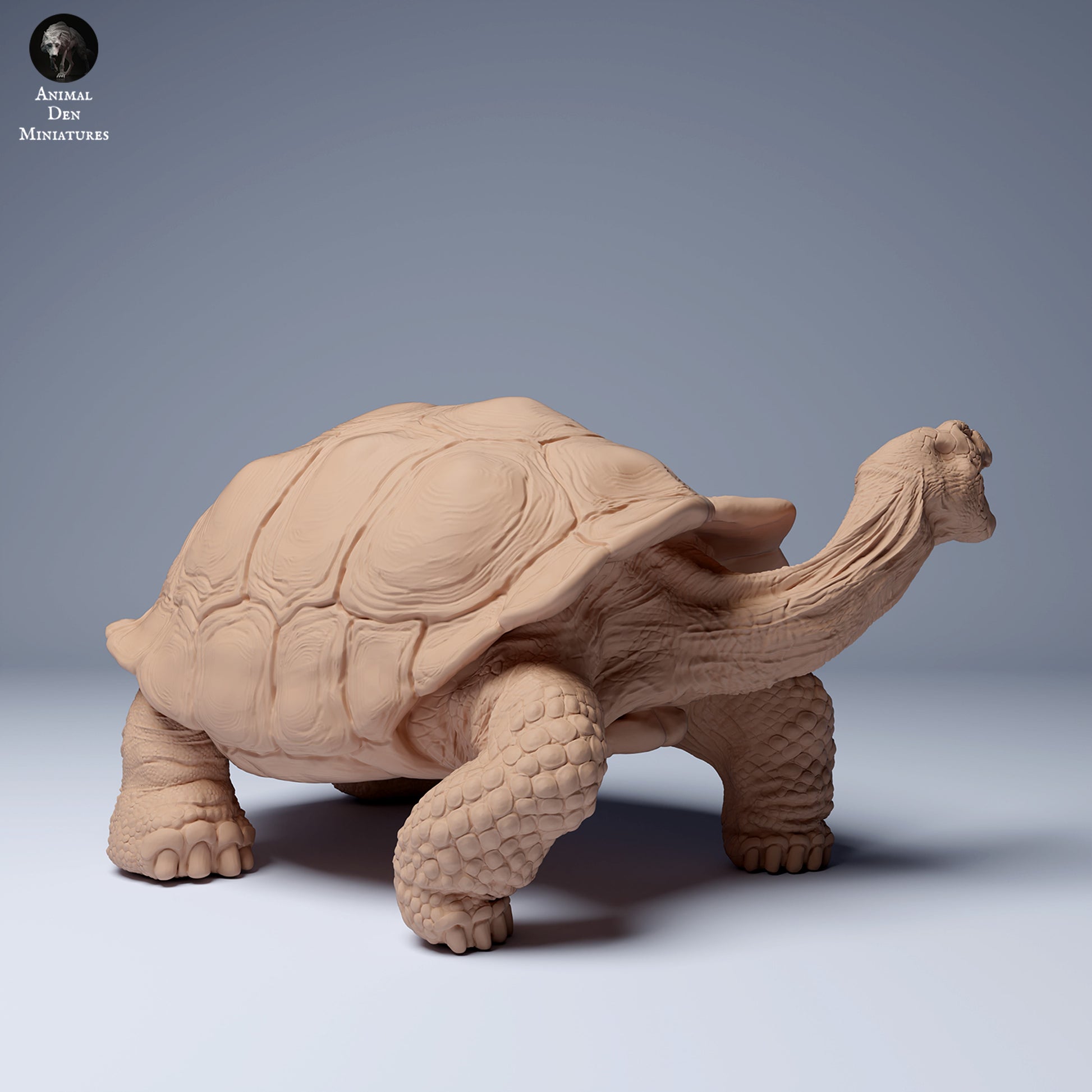 Product photo animal figure diorama, model building: 0: Jungle animal figure: feeding Galápagos giant tortoise (Ref 24_08_03)