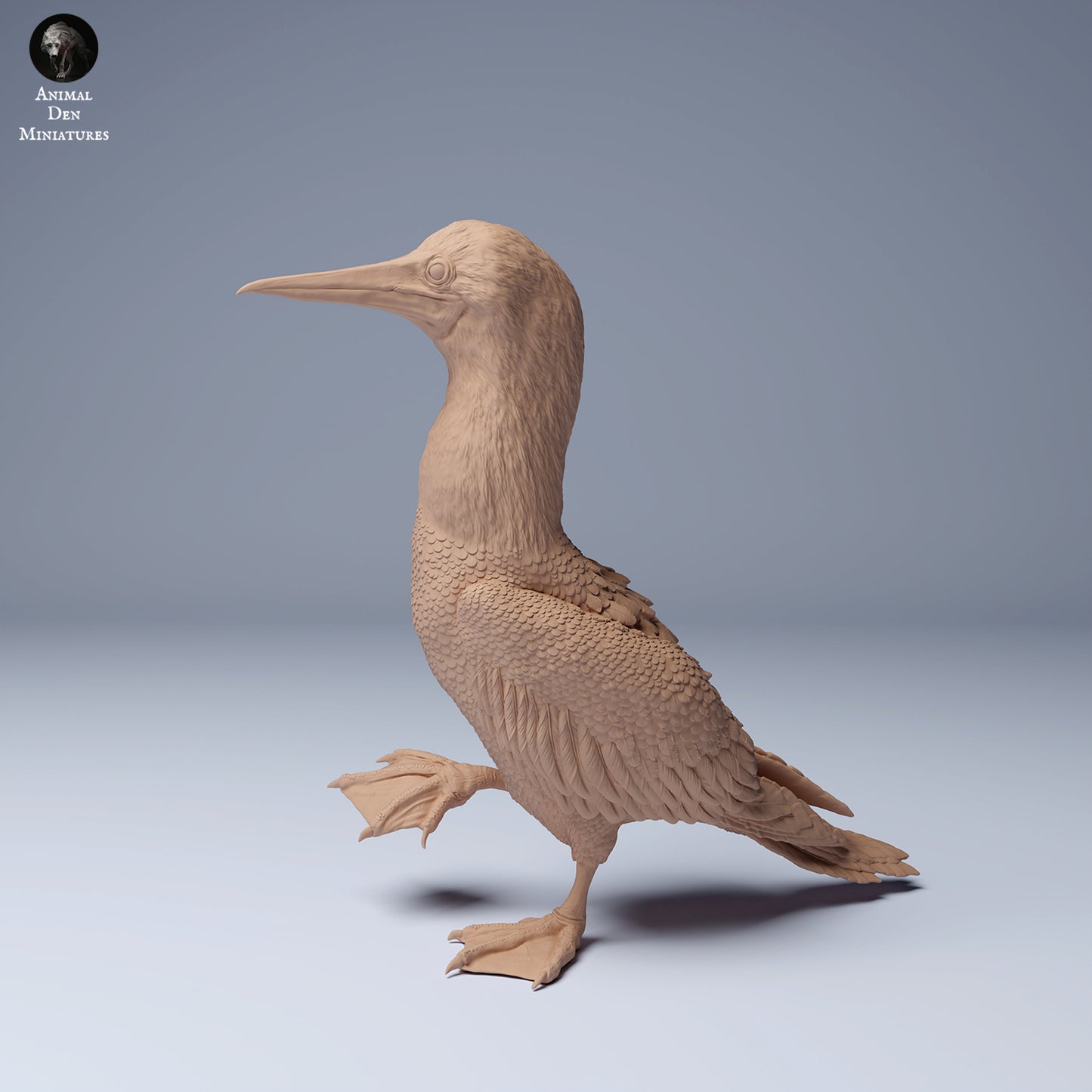 Produktfoto Tier Figur Diorama, Modellbau: 0: Meerestier Figur: Blaufußtölpel – Blue Footed Booby (Ref 24_08_06)