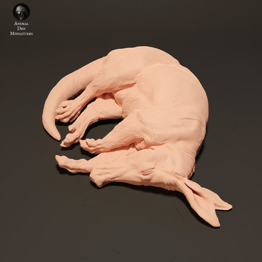 Product photo Animal Figure Diorama, Model Building: 0: Aardvark Sleeping: Animals from Africa