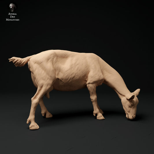 Product photo animal figure diorama, model building: 0: Alpine goat: grazing