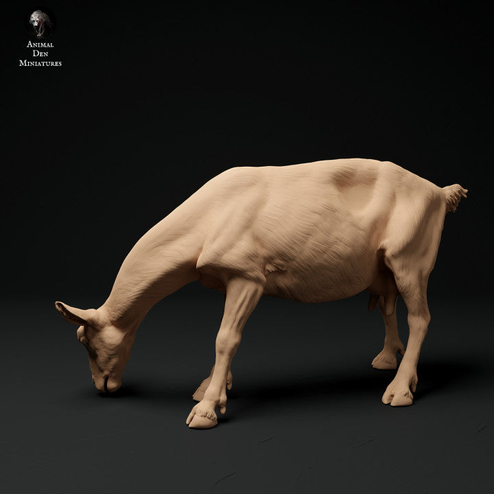 Product photo animal figure diorama, model building: 0: Alpine goat: grazing