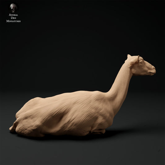 Product photo animal figure diorama, model building: 0: Alpine goat: lying down