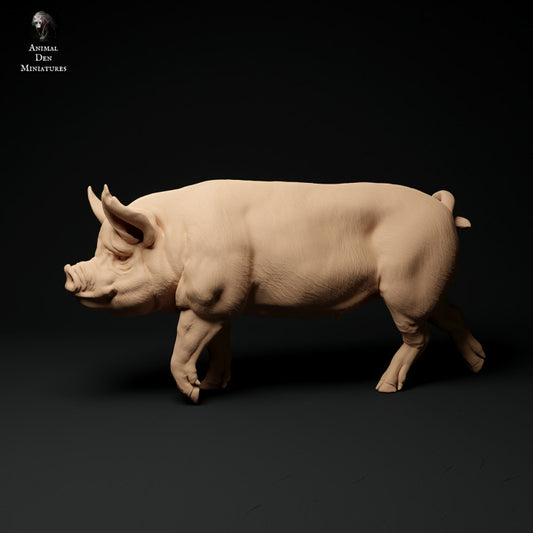 Product photo Animal Figure Diorama, Model Building: 0: Farm Animal Figures: Walking Boar - Berkshire Pig