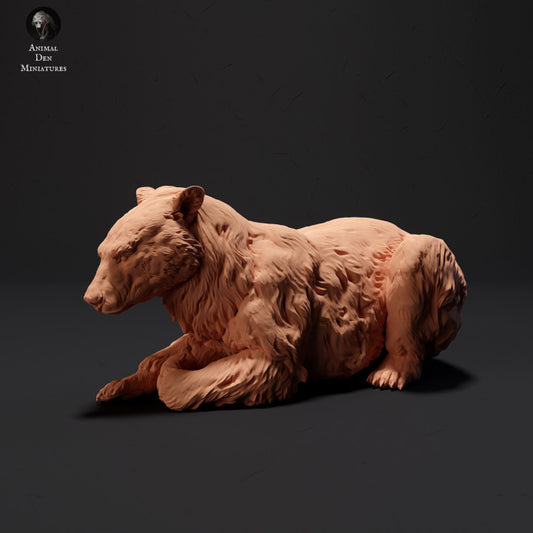 Product photo Animal Figure Diorama, Model Building: 0: Black Bear Lying: Animals of the North