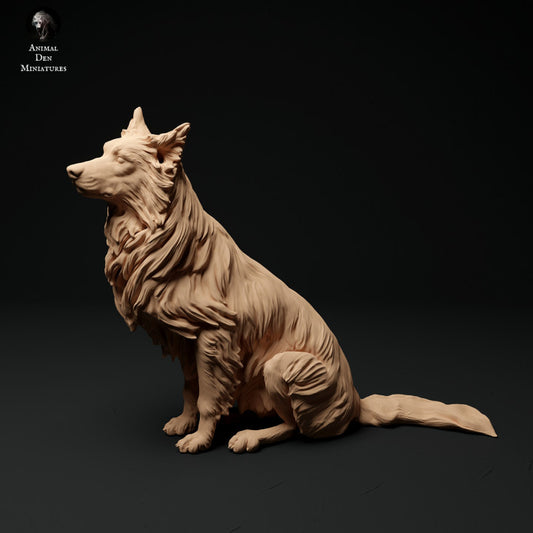 Product photo Animal Figure Diorama, Model Building: 0: Pet Figure: Sitting Dog - Border Collie