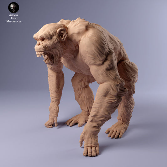 Product photo animal figure diorama, model building: 0: Aggressive chimpanzee: Animals from Africa