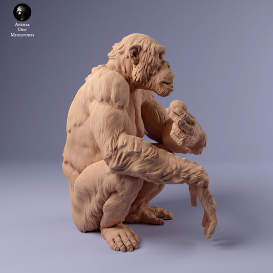 Product photo animal figure diorama, model building: 0: female chimpanzee with food: animals from Africa