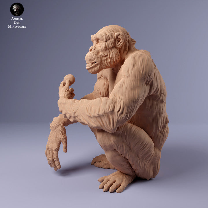 Product photo animal figure diorama, model building: 0: female chimpanzee with food: animals from Africa