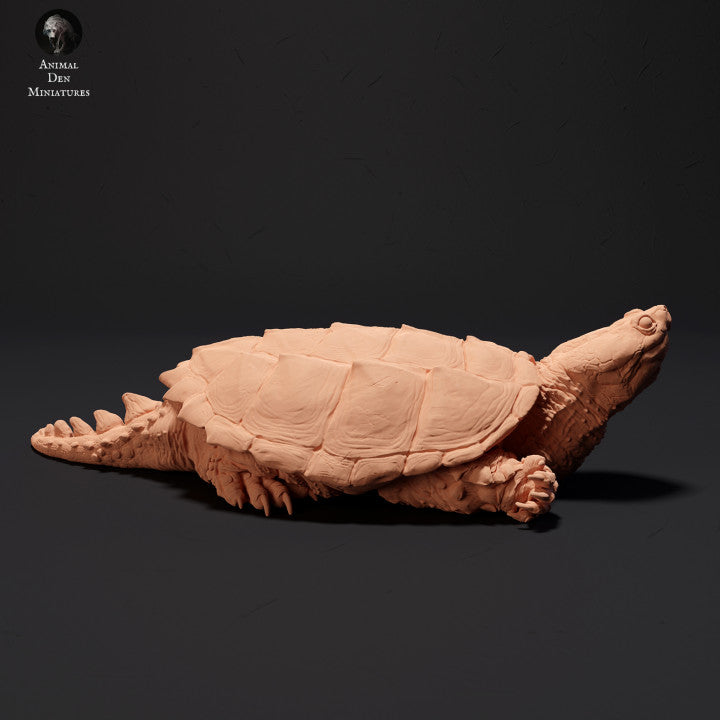 Product photo animal figure diorama, model building: 0: Snapping turtle sunning: Animals of the North