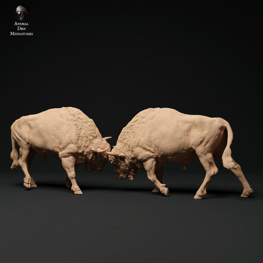 Product photo Animal Figure Diorama, Model Building: 0: Bison Bull Fight: Animals from Europe