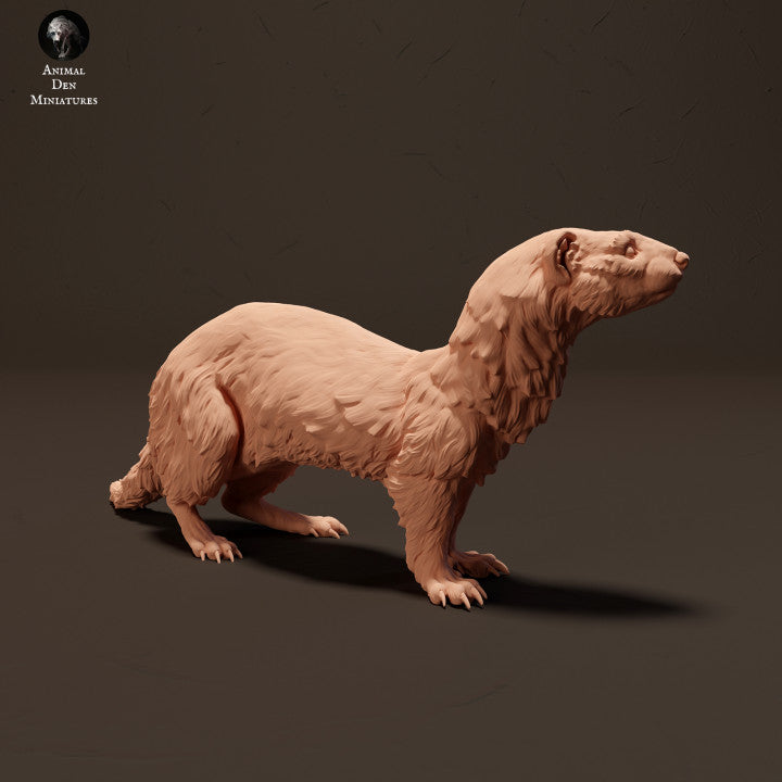 Product photo animal figure diorama, model building: 0: European ferret: Animals from Europe