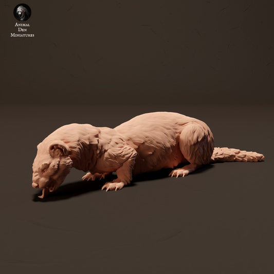Product photo animal figure diorama, model building: 0: European ferret/ polecat eating: Animals from Europe