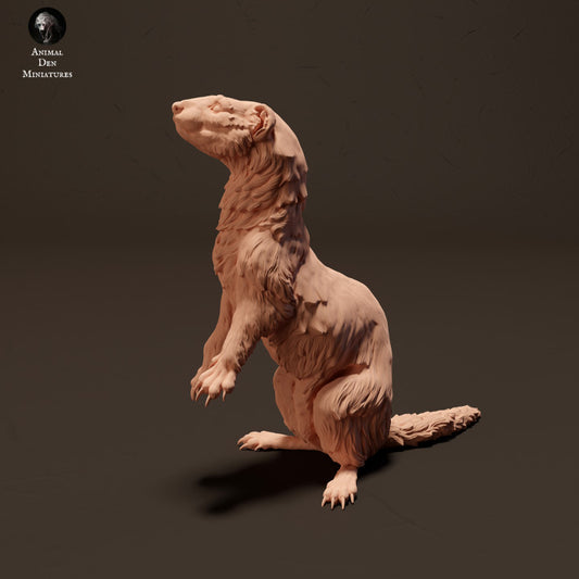 Product photo animal figure diorama, model building: 0: European ferret standing: Animals from Europe
