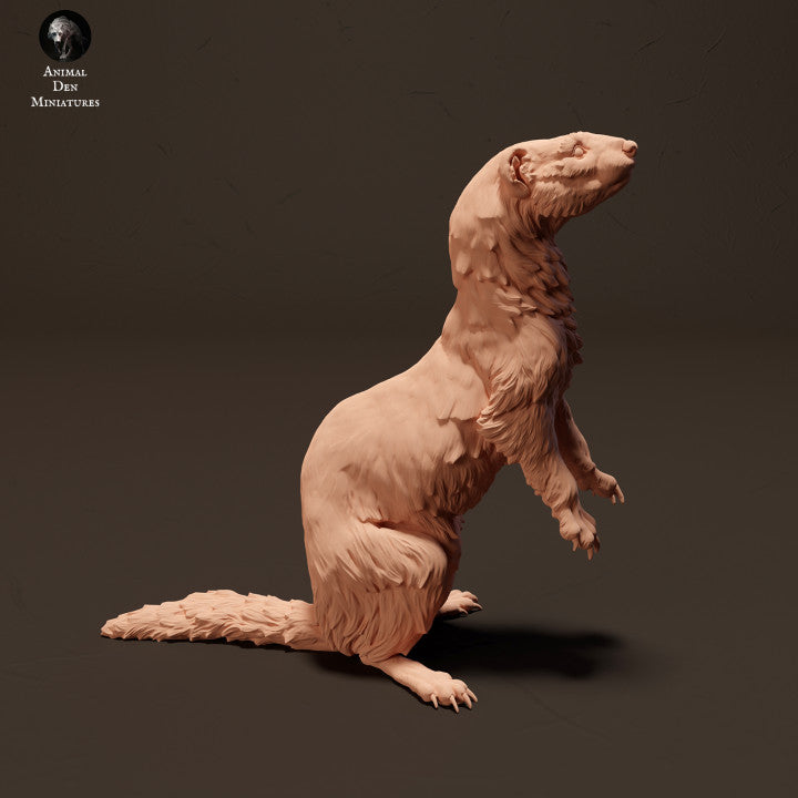 Product photo animal figure diorama, model building: 0: European ferret standing: Animals from Europe