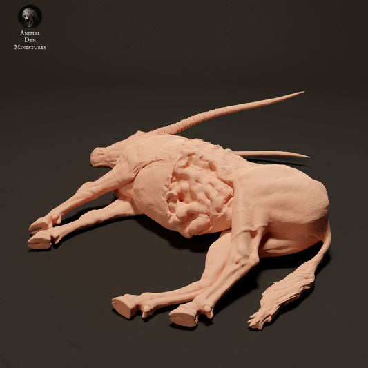 Product photo Animal Figure Diorama, Model Building: 0: Gemsbok Antelope Carcass: Animals from Africa