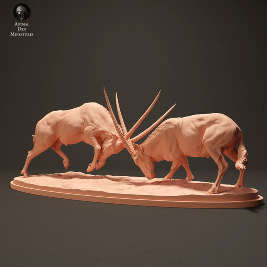 Product photo animal figure diorama, model building: 0: Gemsbok antelopes fighting: Animals from Africa