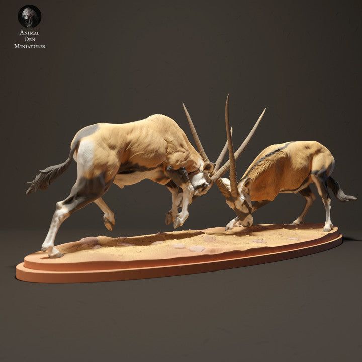 Product photo animal figure diorama, model building: 0: Gemsbok antelopes fighting: Animals from Africa