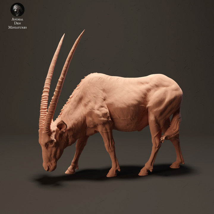 Product photo animal figure diorama, model building: 0: Gemsbok antelope grazing: animals from Africa