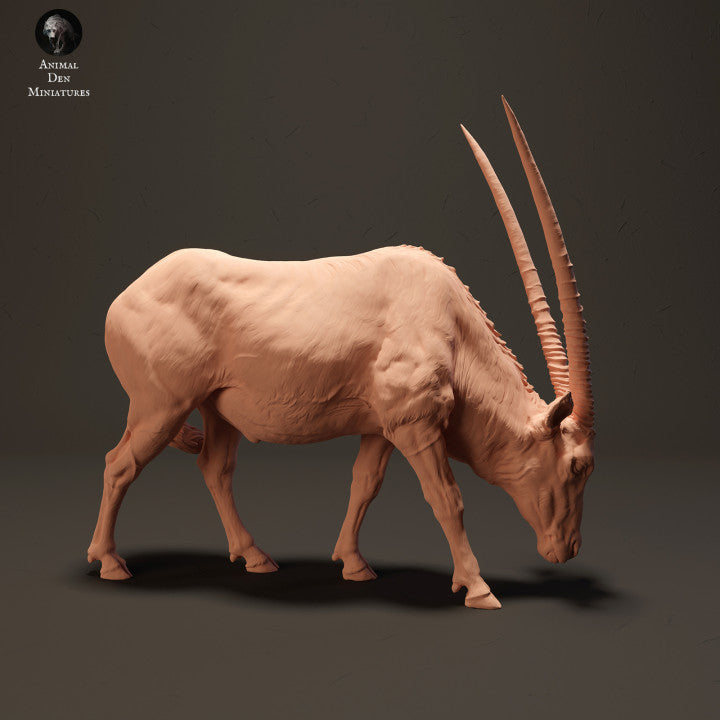 Product photo animal figure diorama, model building: 0: Gemsbok antelope grazing: animals from Africa