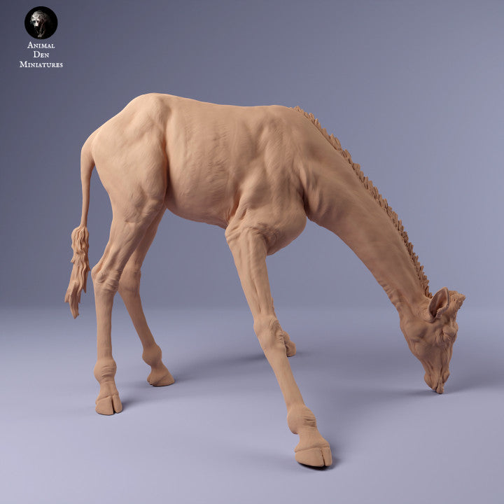 Product photo Animal Figure Diorama, Model Building: 0: Giraffe Drinking: Animals from Africa