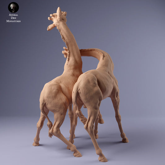 Product photo Animal Figure Diorama, Model Building: 0: Two Male Giraffes Fighting: Animals from Africa