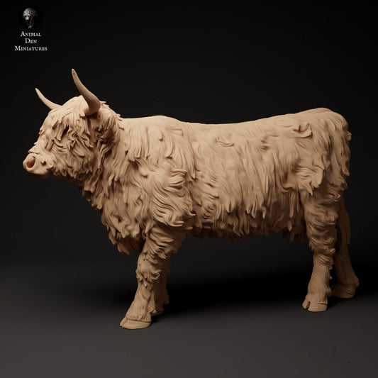 Product photo animal figure diorama, model building: 0: Scottish Highland Cattle: Animals from Northern Europe