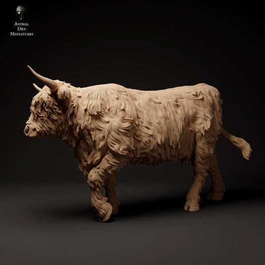 Product photo animal figure diorama, model building: 0: Scottish Highland Cattle walking: Animals from Northern Europe
