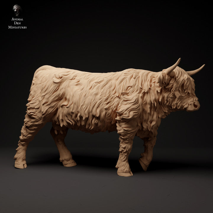 Produktfoto Tier Figur Diorama, Modellbau: 0: Schottisches Hochlandrind gehend: Tiere aus Nordeuropa