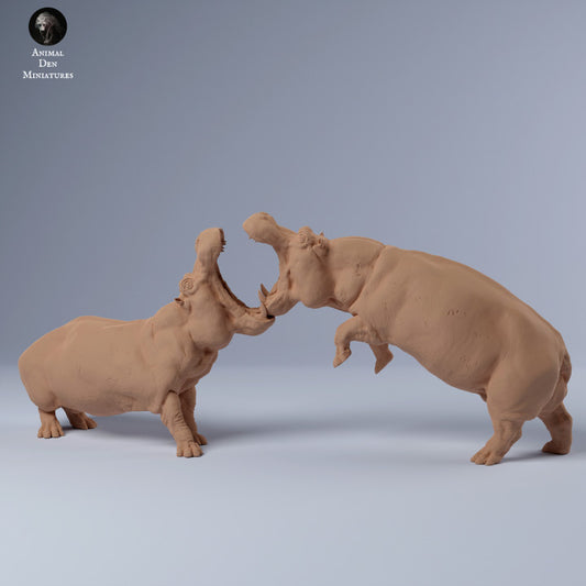 Product photo Animal Figure Diorama, Model Building: 0: Hippo Male Fighting: Animals from Africa