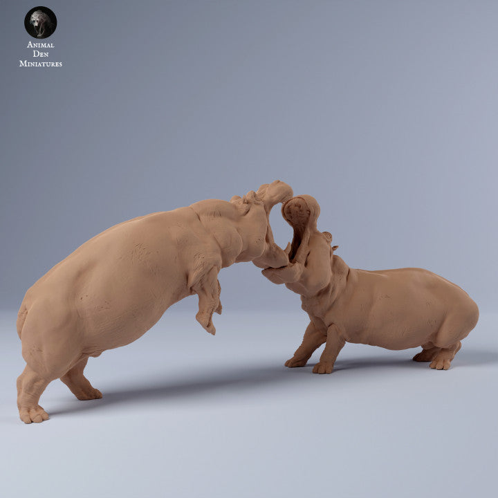 Product photo Animal Figure Diorama, Model Building: 0: Hippo Male Fighting: Animals from Africa