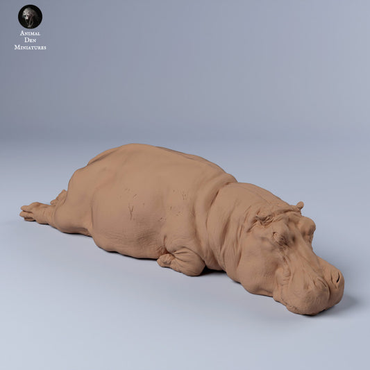 Product photo Animal Figure Diorama, Model Building: 0: Hippo sleeping: Animals from Africa